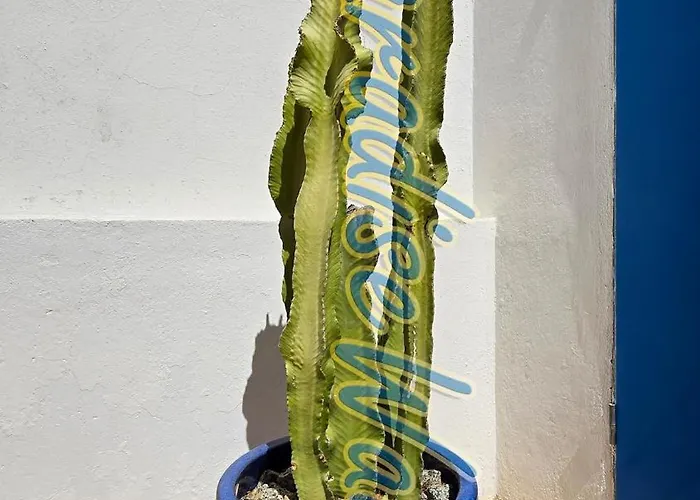 Piscine Privee - By Paradise Waves *